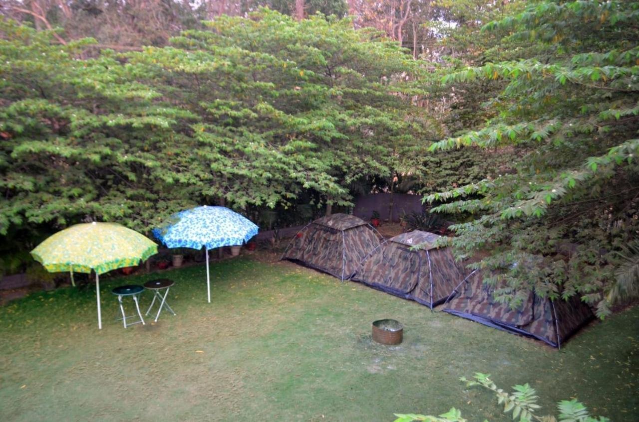 Dandeli Jungle Resort ภายนอก รูปภาพ