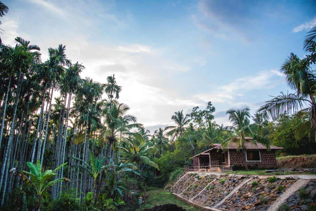 Dandeli Jungle Resort ภายนอก รูปภาพ