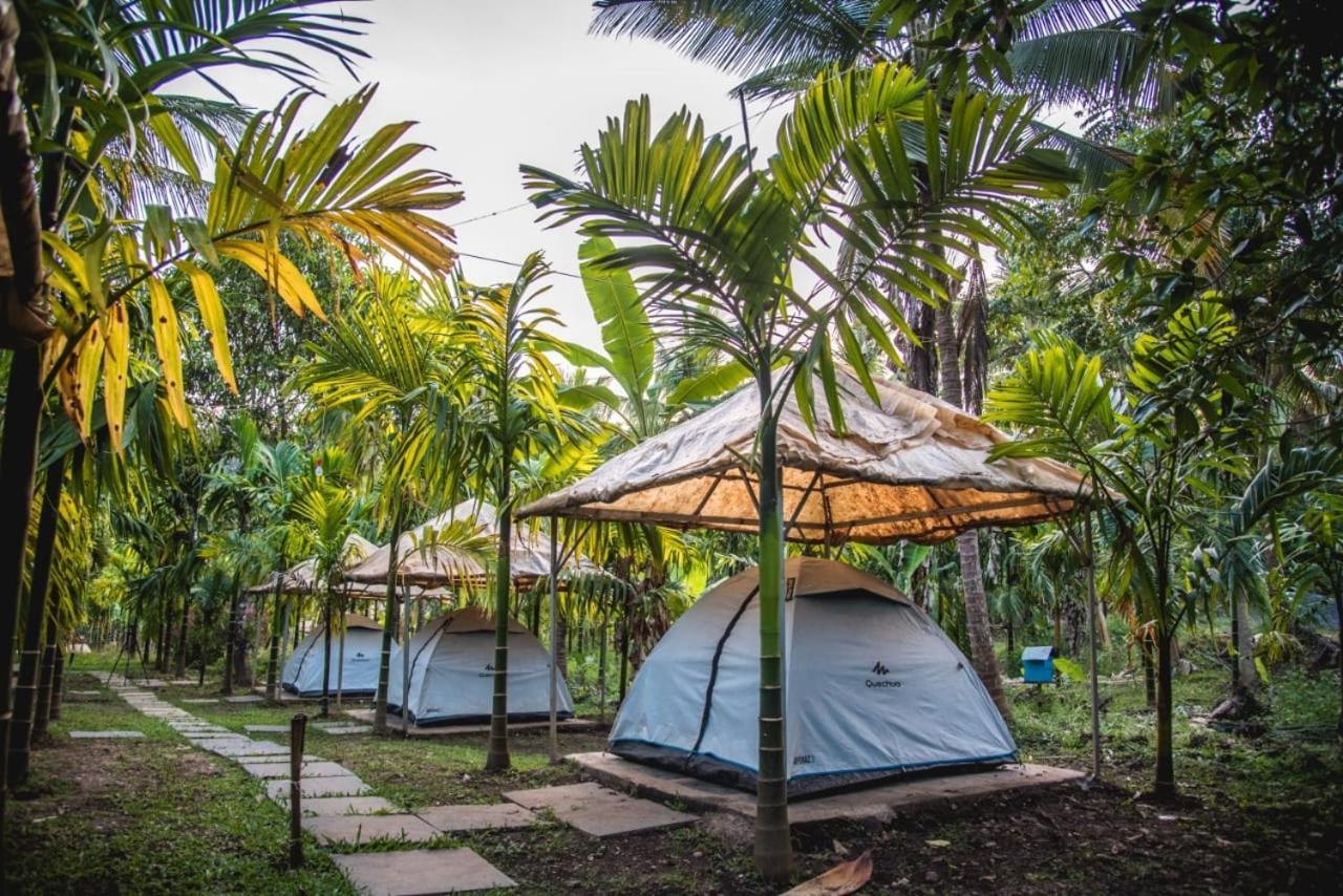 Dandeli Jungle Resort ห้อง รูปภาพ